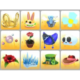 BUNDLE PET WEAR X12