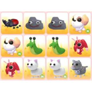 BUNDLE PET X12
