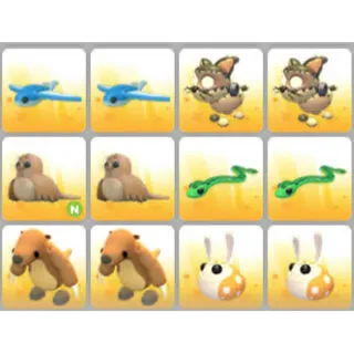 BUNDLE PET X12