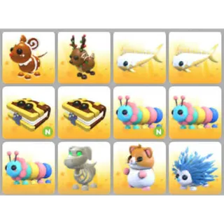 BUNDLE PET X12