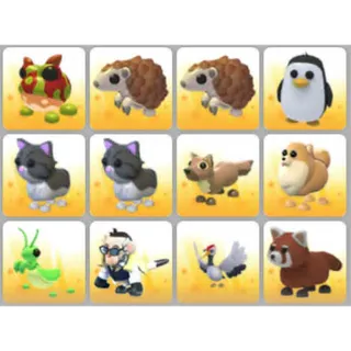 BUNDLE PET X12