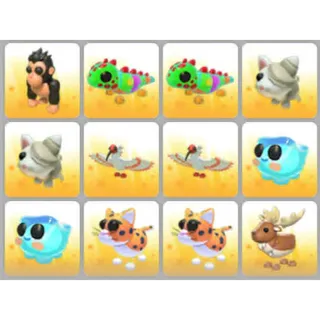 BUNDLE PET X12