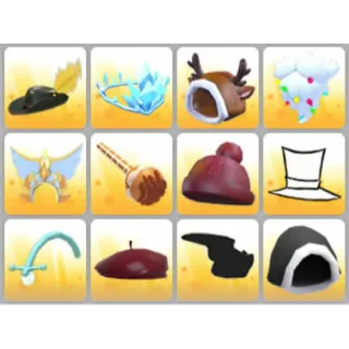 BUNDLE PET WEAR X12