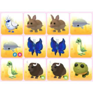 BUNDLE PET X12