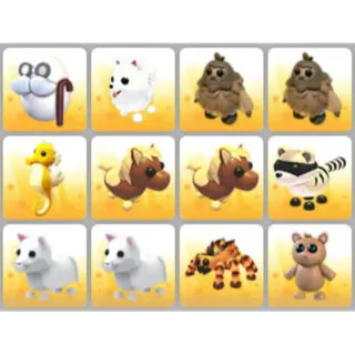 BUNDLE PET X12