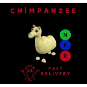 CAMEL NFR