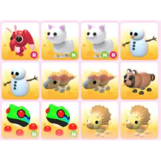BUNDLE PET X12