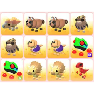 BUNDLE PET X12