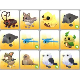 BUNDLE PET X12