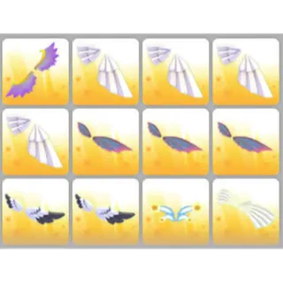BUNDLE PET WEAR X12