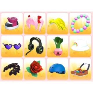 BUNDLE PET WEAR X12
