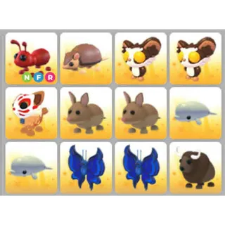 BUNDLE PET X12