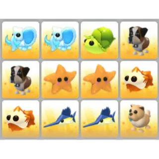 BUNDLE PET X12