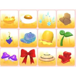 BUNDLE PET WEAR X12