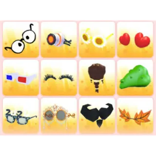 BUNDLE PET WEAR X12