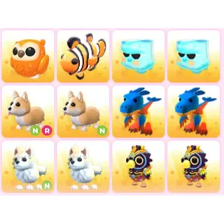 BUNDLE PET X12