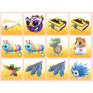 BUNDLE PET X12