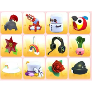 BUNDLE PET WEAR X12