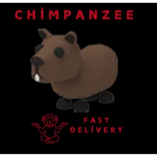 capybara