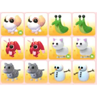 BUNDLE PET X12