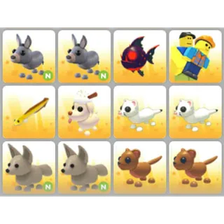 BUNDLE PET X12