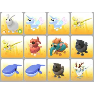 BUNDLE PET X12