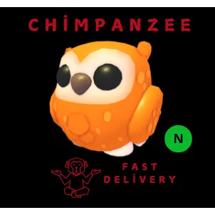 CLEMENTINE OWL NEON