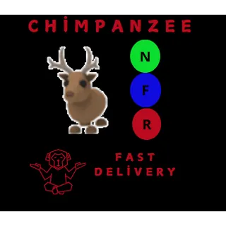 REINDEER NFR