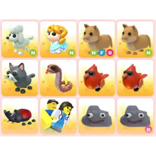 BUNDLE PET X12