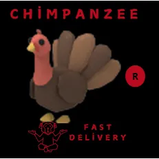 TURKEY R