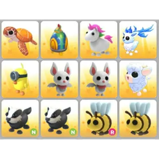 BUNDLE PET X12