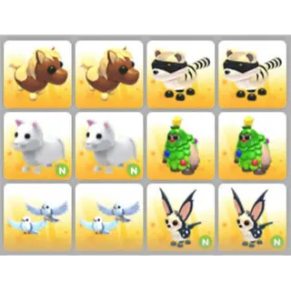 BUNDLE PET X12