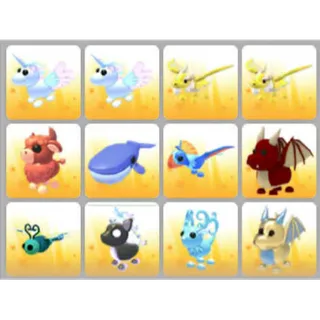 BUNDLE PET X12
