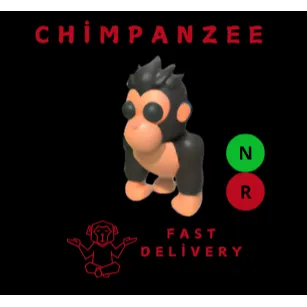 GORILLA NR
