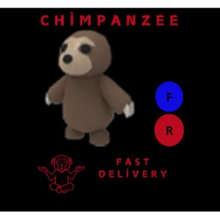 SLOTH FR