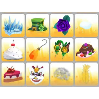 BUNDLE PET WEAR X12