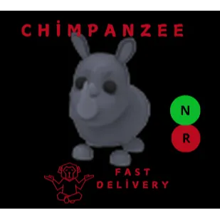 RHINO NR