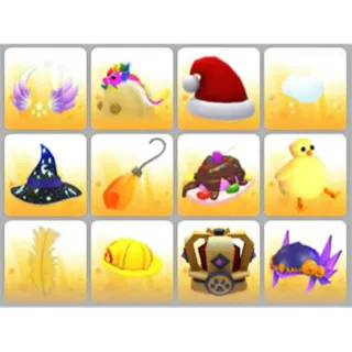 BUNDLE PET WEAR X12