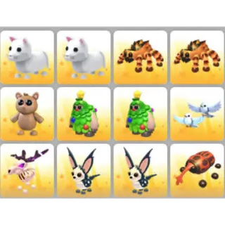 BUNDLE PET X12