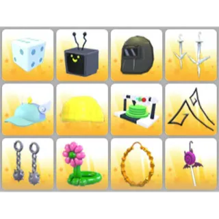 BUNDLE PET WEAR X12