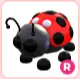 LADYBUG R