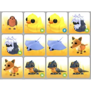 BUNDLE PET X12