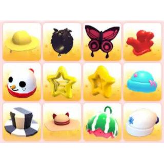 BUNDLE PET WEAR X12