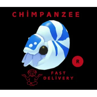 รายการภาพถ่าย