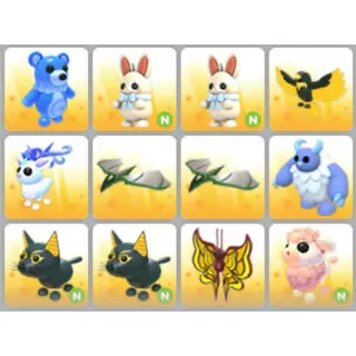 BUNDLE PET X12