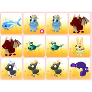 BUNDLE PET X12
