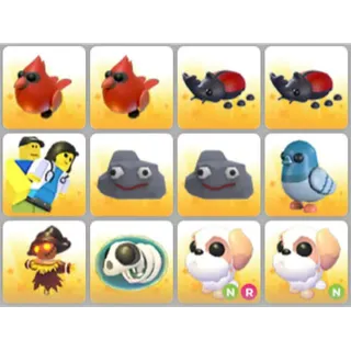 BUNDLE PET X12