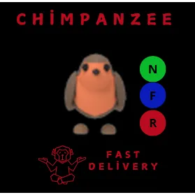 ROBIN NFR