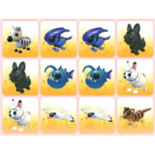 BUNDLE PET X12