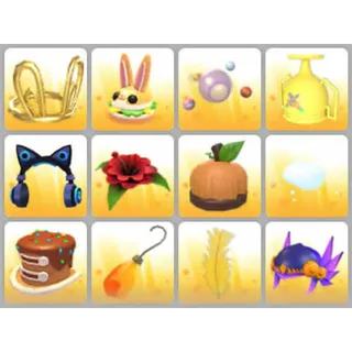 BUNDLE PET WEAR X12
